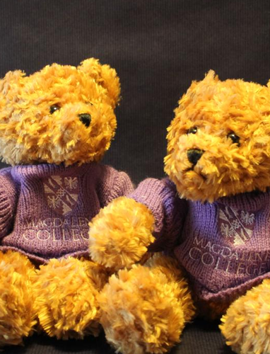 Teddy