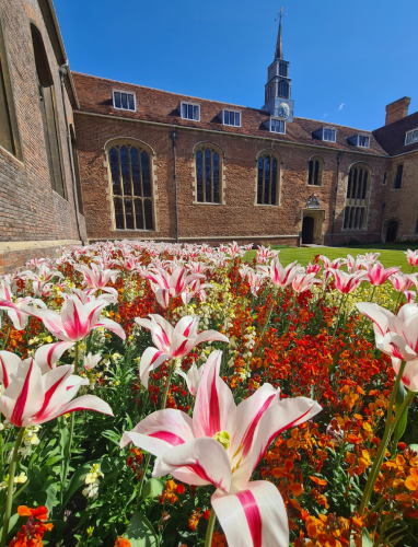 Faith in Cambridge