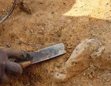 archaeology